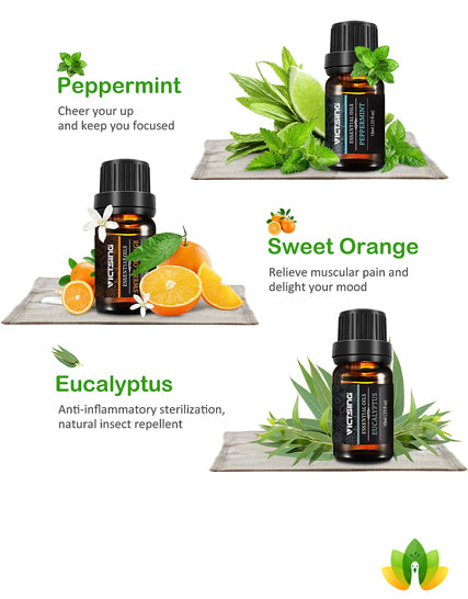 Essential Oils Set